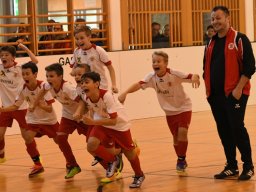mini-2017-01-29-DSC_4486